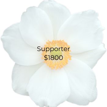 Supporter - $1800