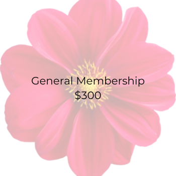General Membership - $300