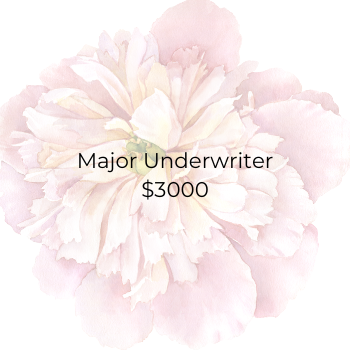 Major Underwriter - $3000